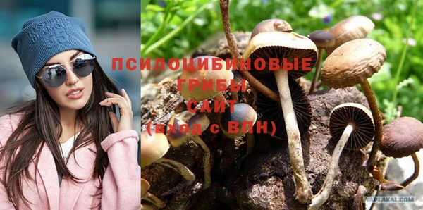 шишки Абинск