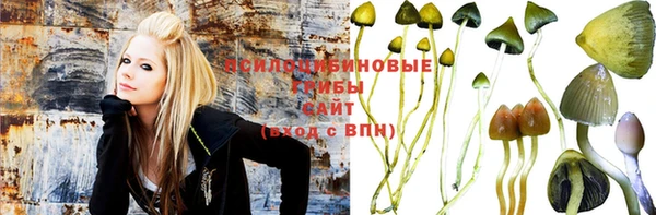 шишки Абинск
