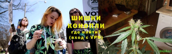 шишки Абинск