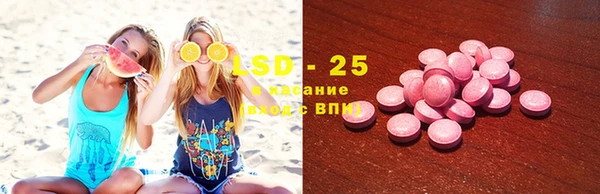 шишки Абинск